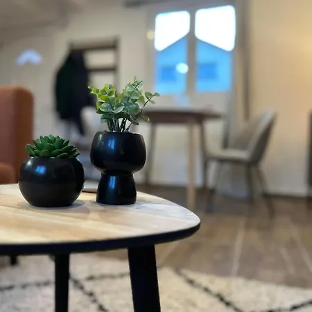 Daire Maison Cocon Avec Parking Et Terrasse Le Puy-en-Velay
